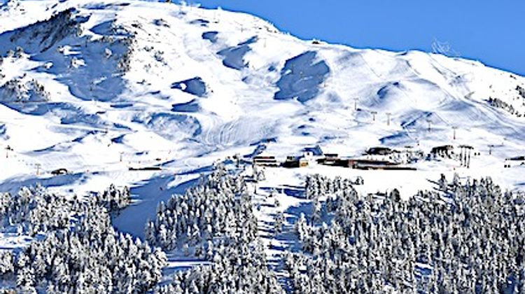 TOUT SCHUSS - Ouverture des stations de ski retardées